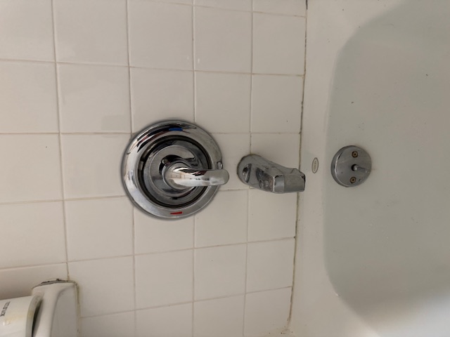 Bathtub Faucet Leak Repair in Naperville, IL