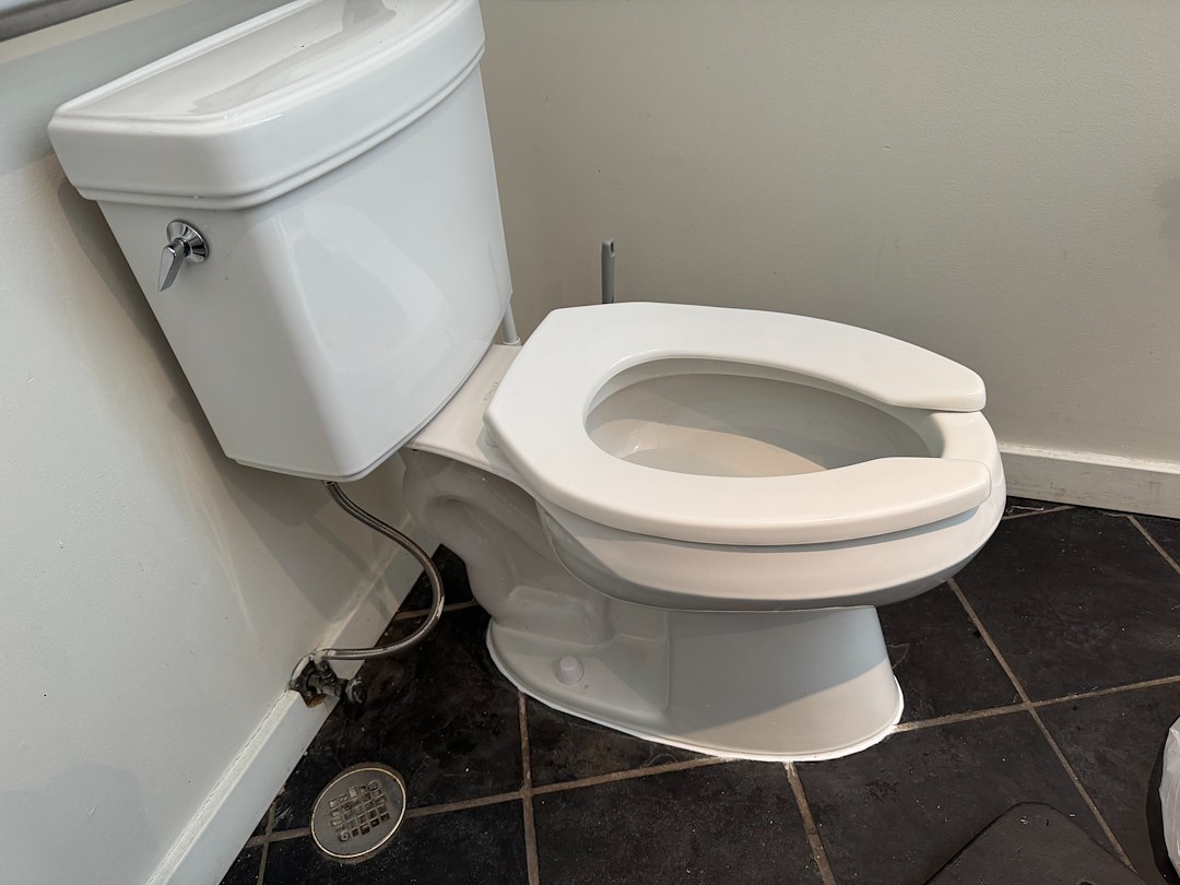 Commercial Toilet Unclogging in Hinsdale, IL 1