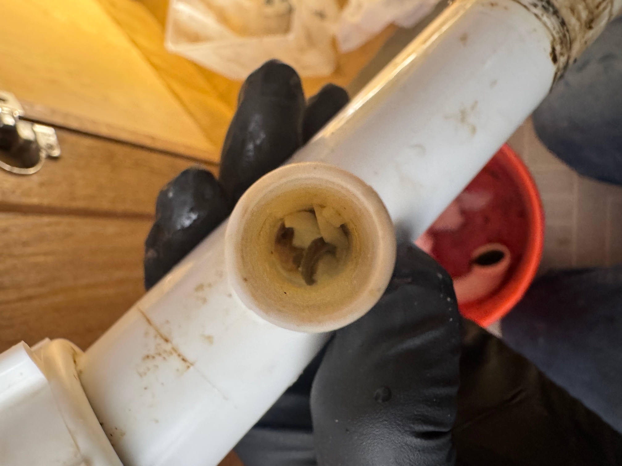 Dishwasher Unclogging in Glen Ellyn, IL