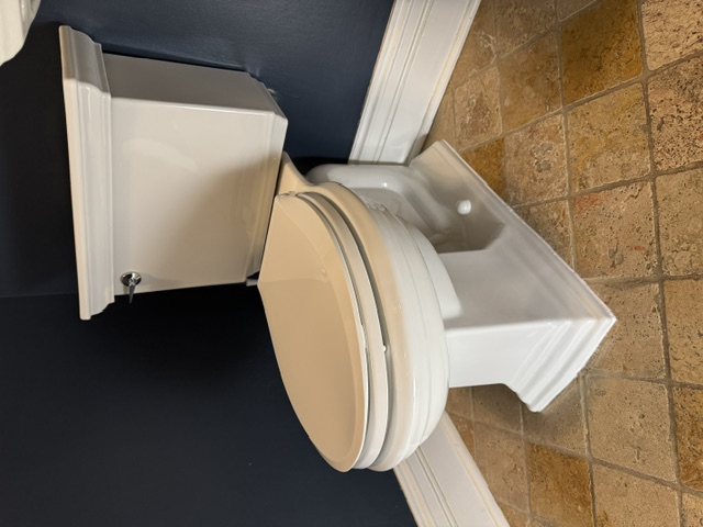 Elmhurst Toilet Installation Kohler Memoirs