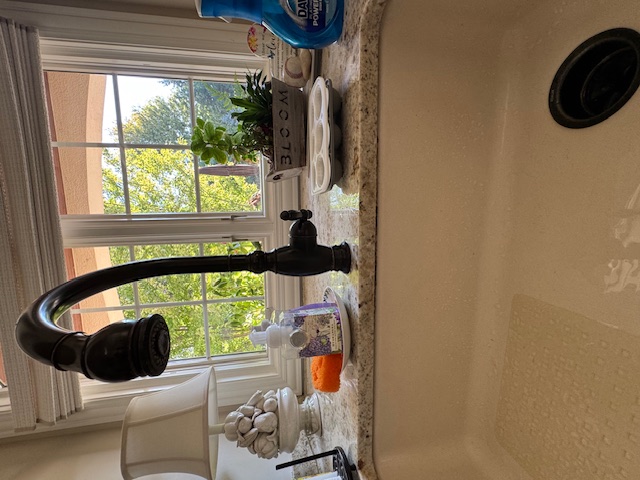 Kitchen Sink Drain Cleaning in Hinsdale, IL 1