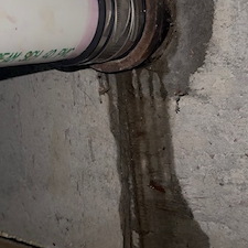 Sewer-Rodding-Tree-Root-Removal-in-Clarendon-Hills-IL 0
