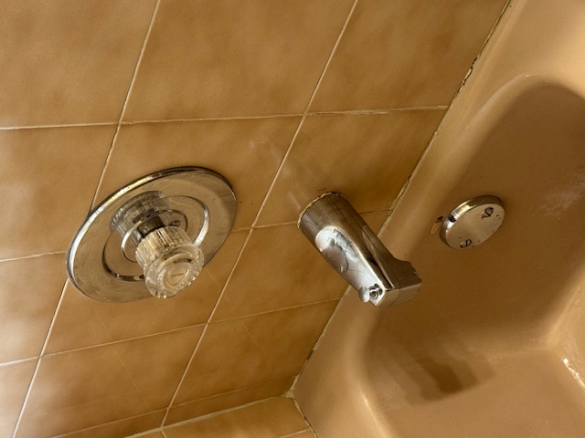Shower Cartridge Repair in Woodridge, IL
