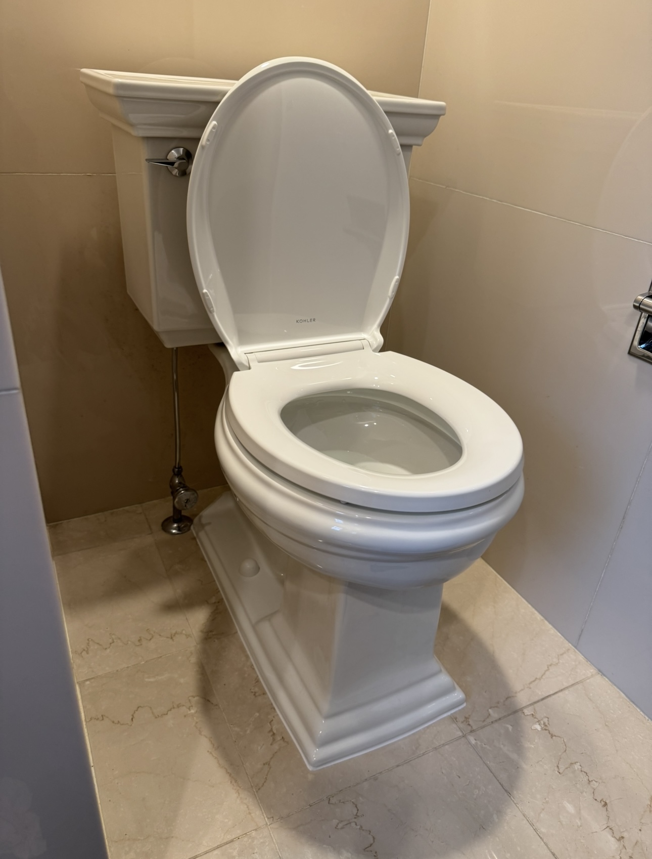 Toilet Reset and Seal in Naperville, IL