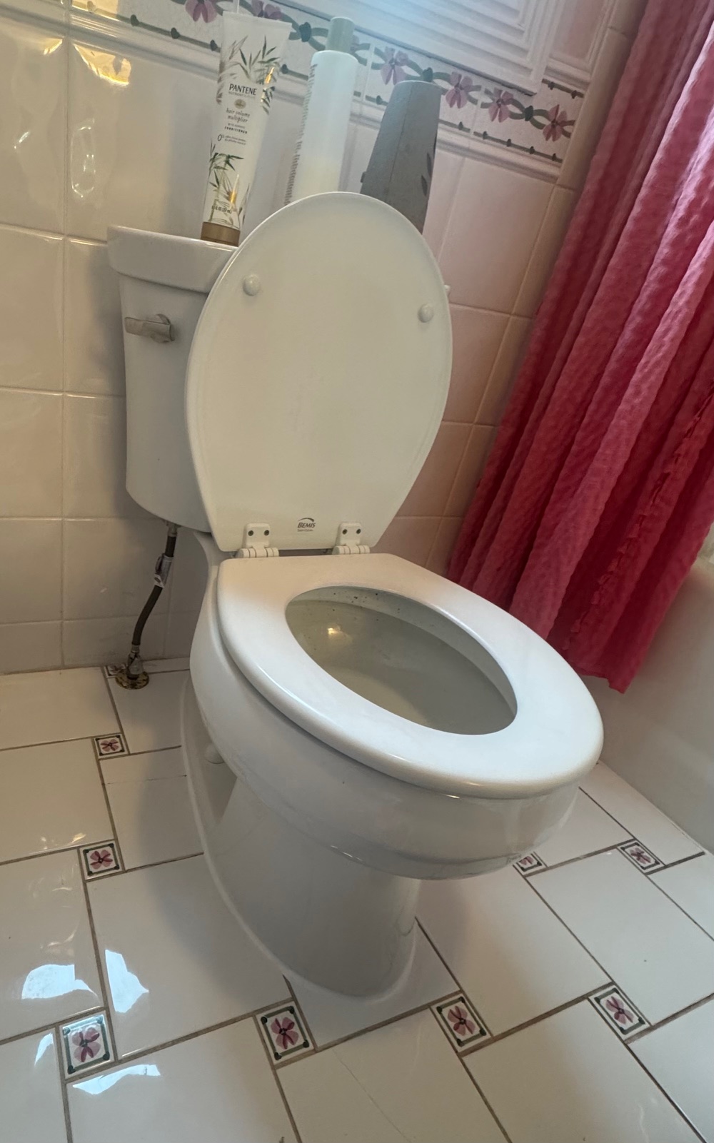 Toilet Reset in Lisle, IL