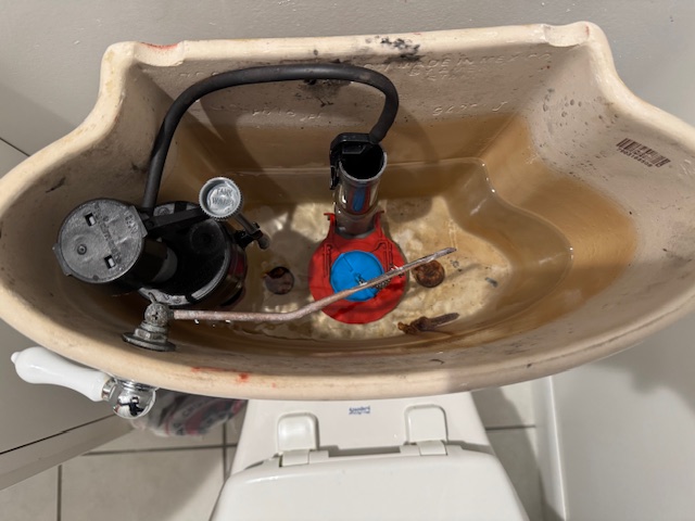 Toilet Tank Rebuild in Darien, IL